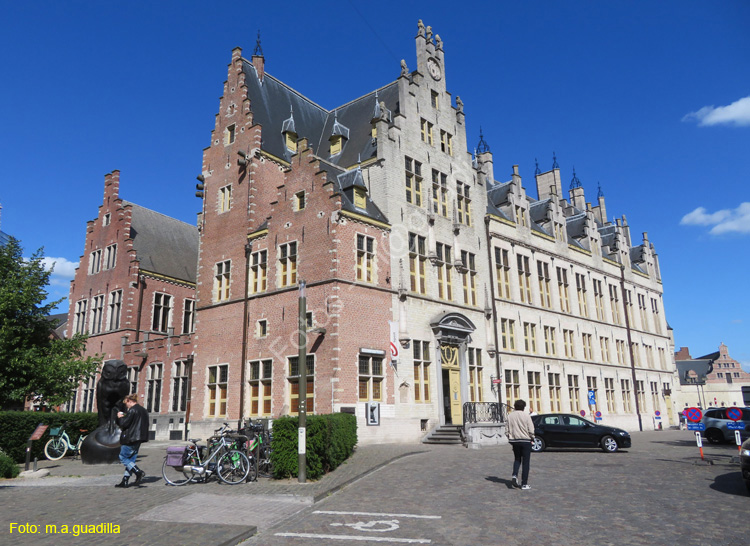 MALINAS (170) Steenweg