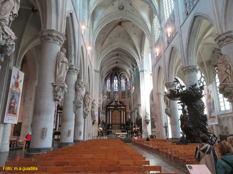 MALINAS (173) Catedral de San Rumoldo