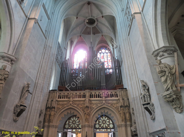 MALINAS (175) Catedral de San Rumoldo