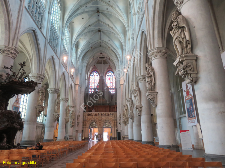 MALINAS (191) Catedral de San Rumoldo