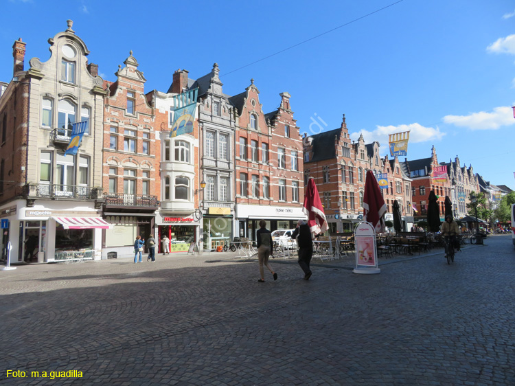 MALINAS (217) IJzerenleen