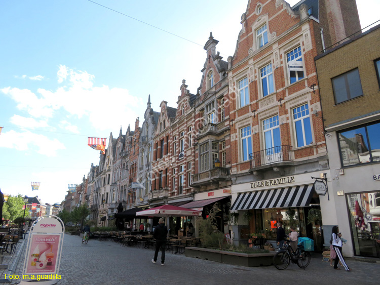 MALINAS (218) IJzerenleen