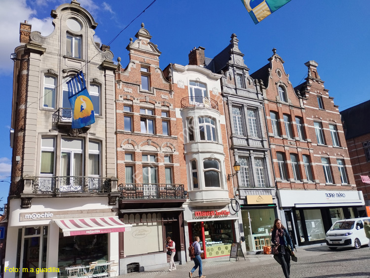 MALINAS (223) IJzerenleen