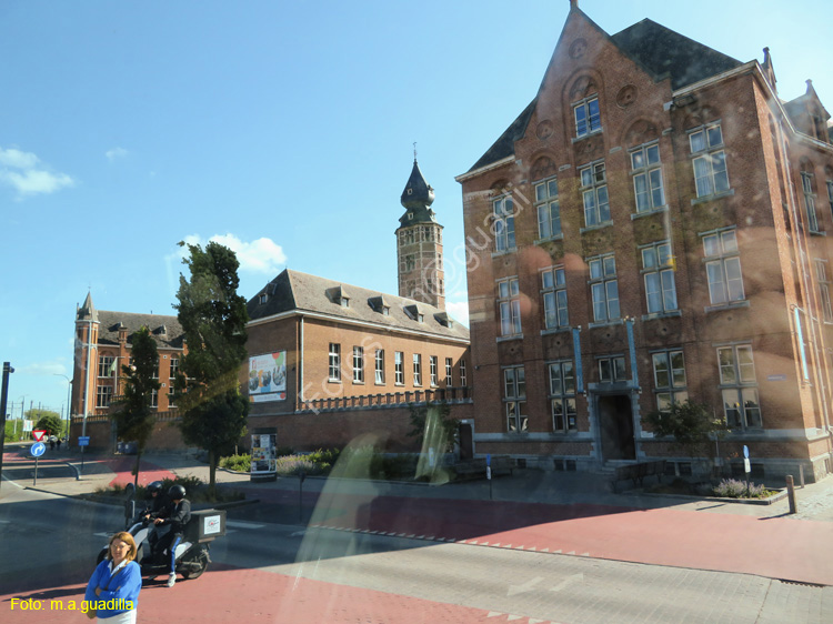 MALINAS (224)