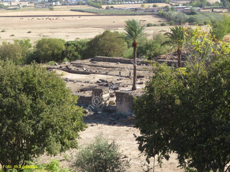 MEDINA AZAHARA (118)