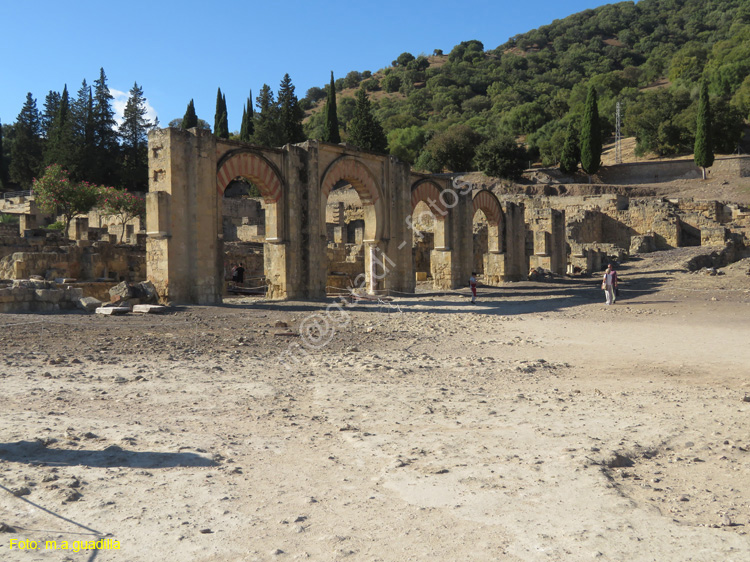 MEDINA AZAHARA (119)