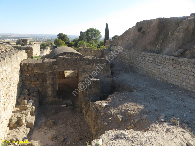 MEDINA AZAHARA (120)