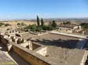 MEDINA AZAHARA (101)