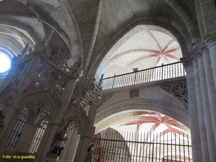 MONASTERIO DE SAN JUAN DE ORTEGA (119)