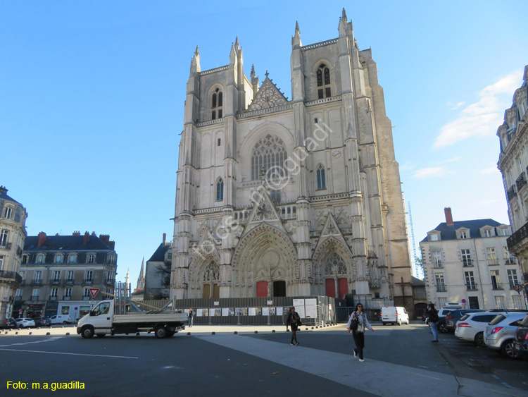 NANTES (101)  Catedral de San Pedro y San Pablo