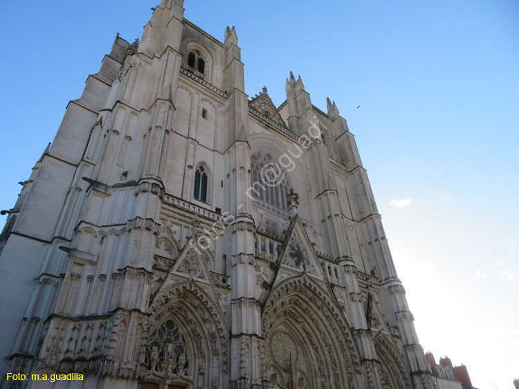 NANTES (104)  Catedral de San Pedro y San Pablo