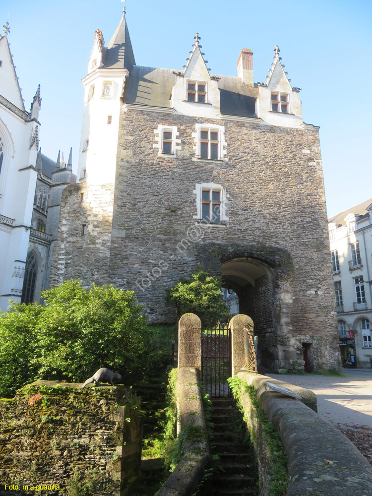 NANTES (122) Puerta de San Pedro