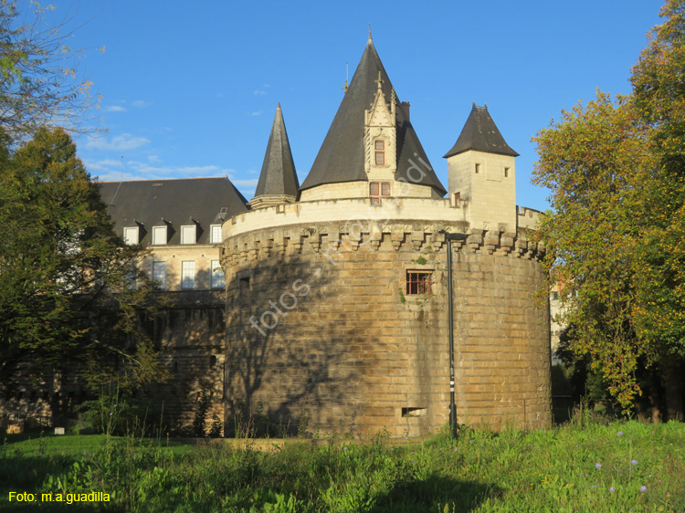 NANTES (125) Castillo de los Duques de la Bretaña