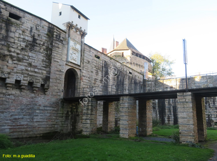 NANTES (131) Castillo de los Duques de la Bretaña