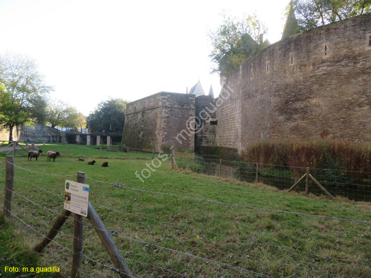 NANTES (134) Castillo de los Duques de la Bretaña