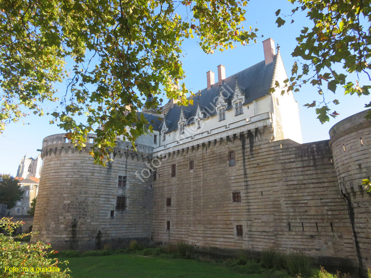 NANTES (138) Castillo de los Duques de la Bretaña