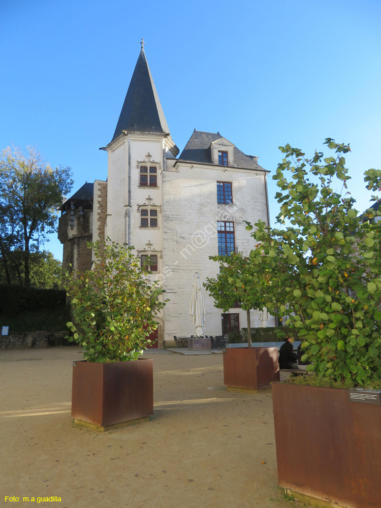 NANTES (148) Castillo de los Duques de la Bretaña