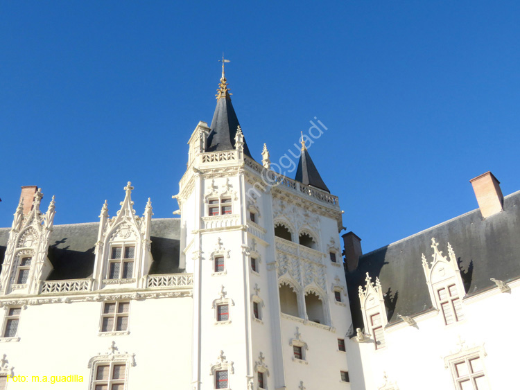 NANTES (156) Castillo de los Duques de la Bretaña