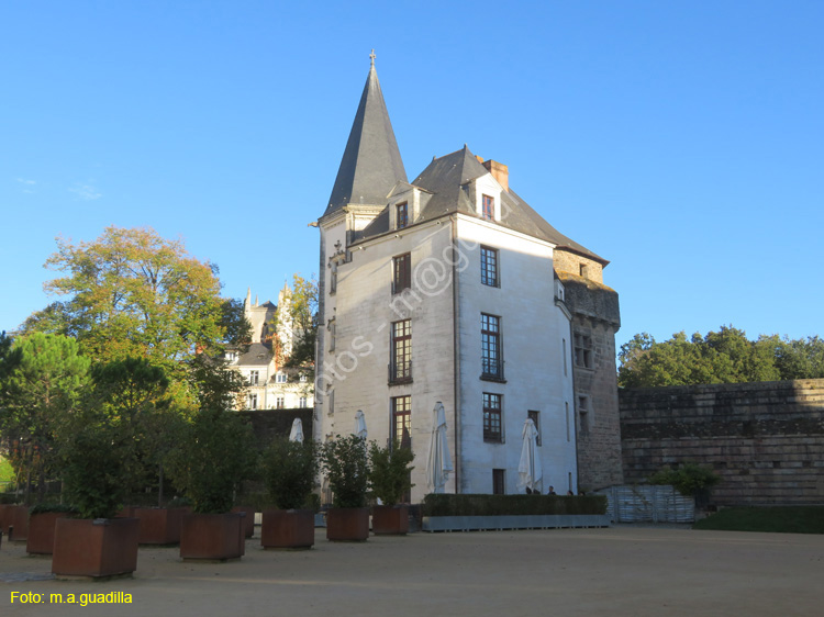 NANTES (159) Castillo de los Duques de la Bretaña