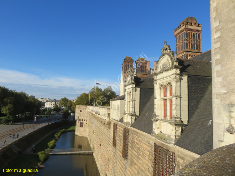 NANTES (164) Castillo de los Duques de la Bretaña