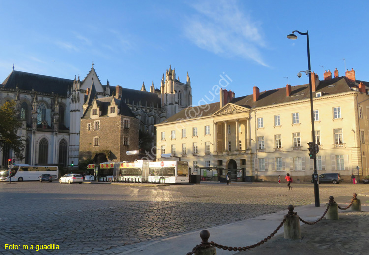 NANTES (181) Plaza Mariscal Foch