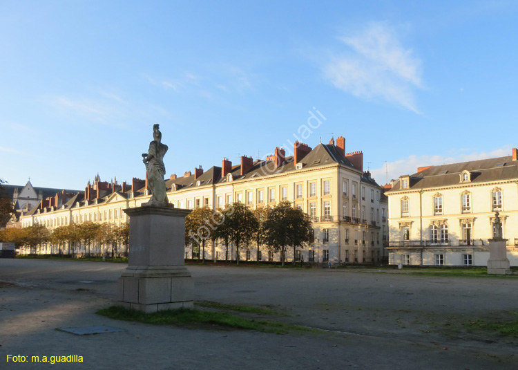 NANTES (188) Cours saint Andre