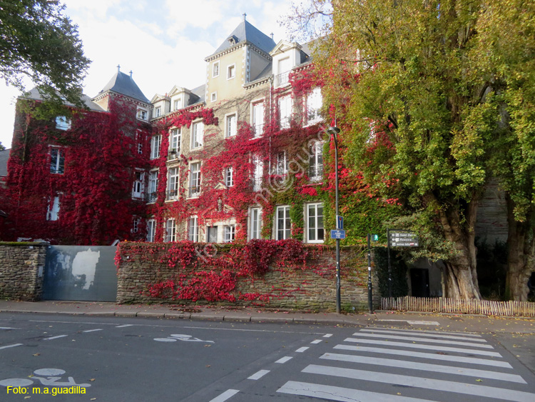 NANTES (202) Rue du Moulin