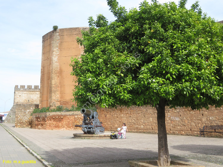 Niebla (101) Muralla