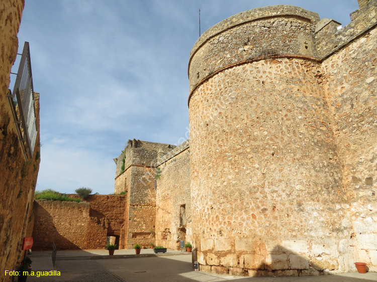 Niebla (149) Castillo de los Guzmanes