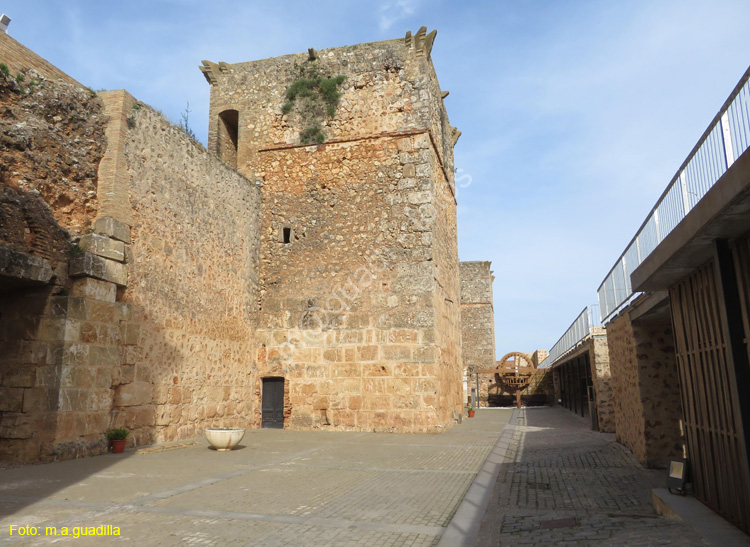 Niebla (152) Castillo de los Guzmanes