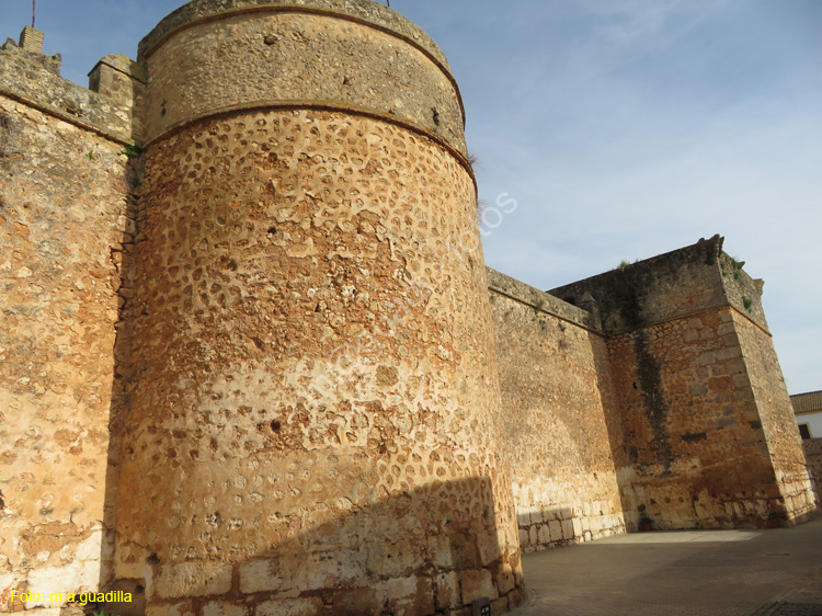 Niebla (179) Castillo de los Guzmanes