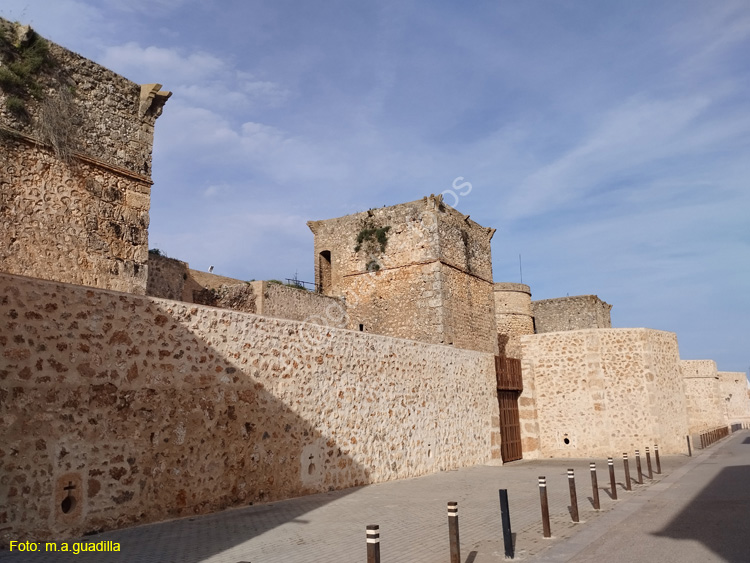 Niebla (200) Castillo de los Guzmanes