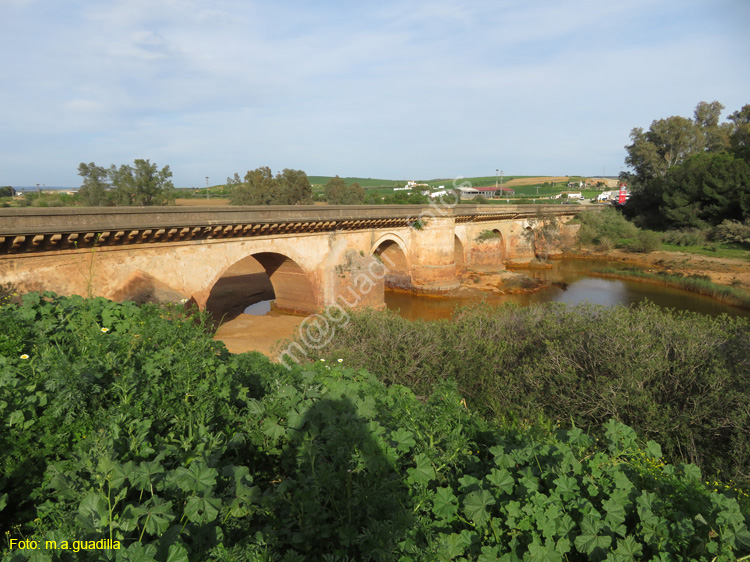 Niebla (201) Puente Romano