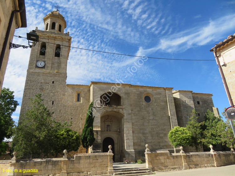 OLMILLOS DE SASAMON (103) Iglesia de la Asuncion