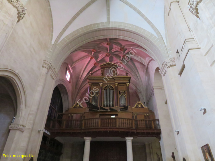 ORIHUELA (113) Iglesia de Santa Justa y Rufina