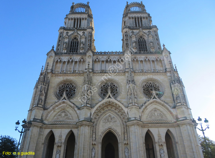 ORLEANS (105) Catedral Sainte-Croix