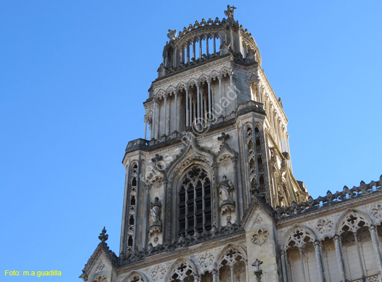 ORLEANS (110) Catedral Sainte-Croix