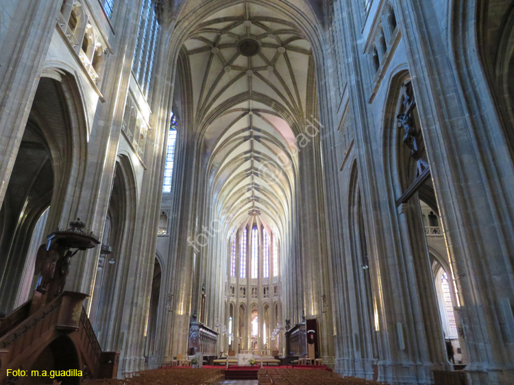 ORLEANS (115) Catedral Sainte-Croix