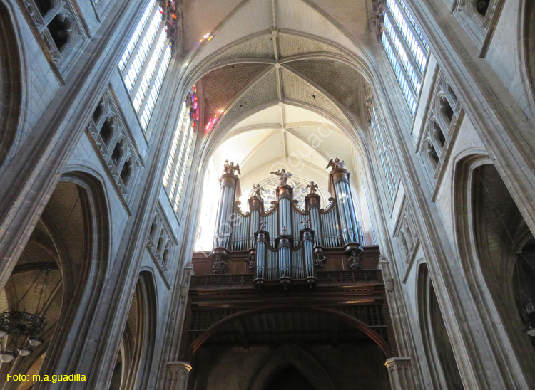 ORLEANS (117) Catedral Sainte-Croix