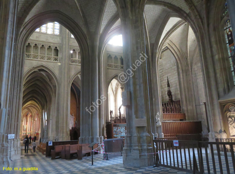 ORLEANS (126) Catedral Sainte-Croix