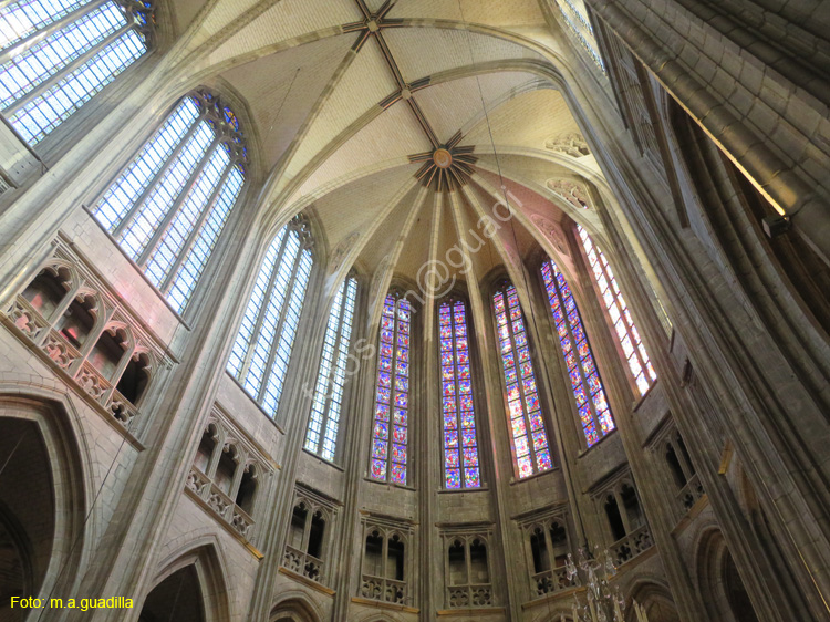 ORLEANS (135) Catedral Sainte-Croix