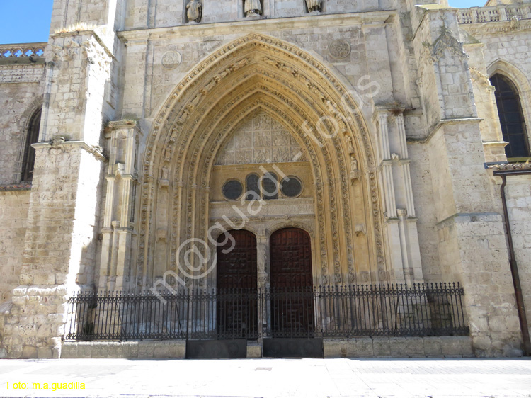 PALENCIA (349) Catedral