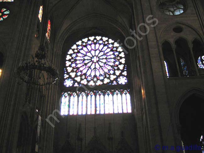 PARIS 158 Notre Dame