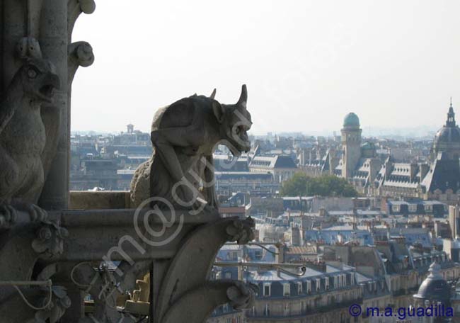 PARIS 170 Notre Dame