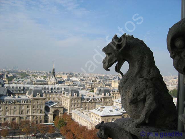 PARIS 173 Notre Dame