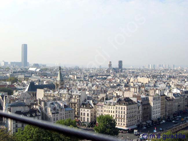 PARIS 183 Vistas desde Notre Dame