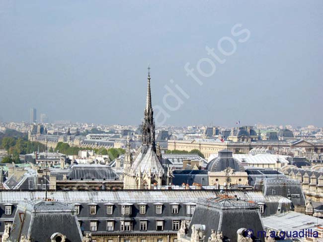 PARIS 186 Vistas desde Notre Dame