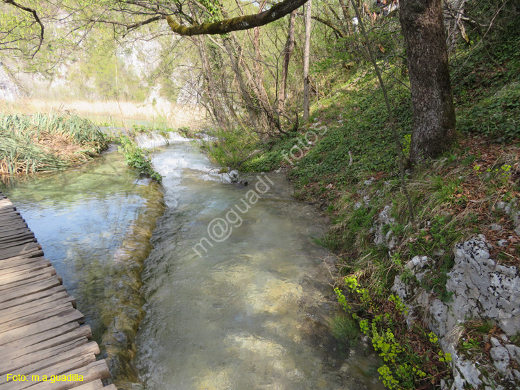 Parque de Plitvice (118)