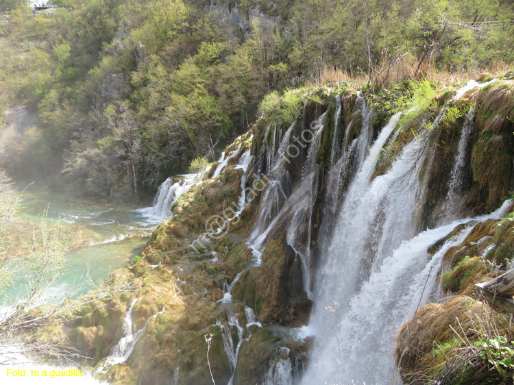 Parque de Plitvice (131)