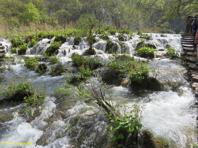 Parque de Plitvice (132)